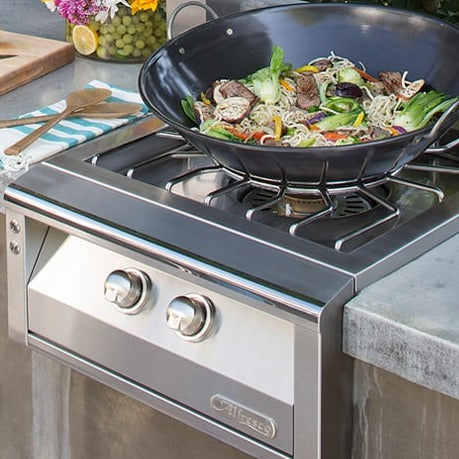 Alfresco 24 Inch Versa Power Propane Gas Cooker