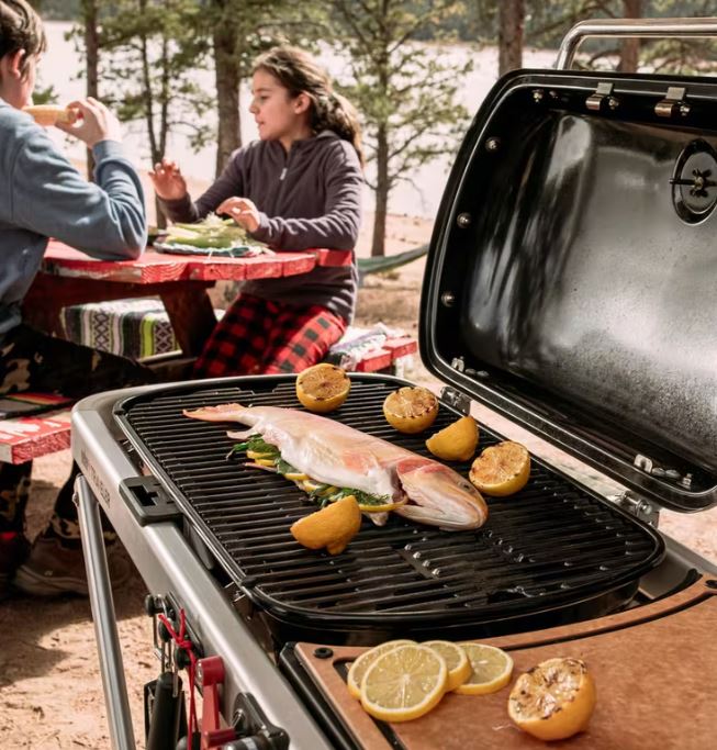 Weber Traveler Portable Gas Grill (Liquid Propane)