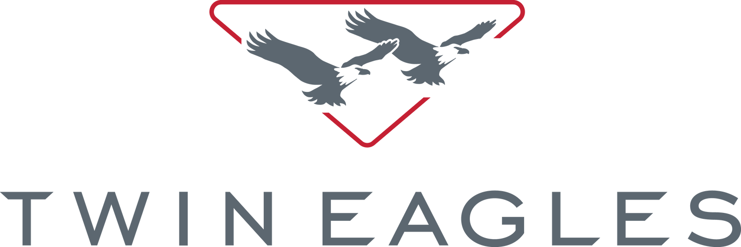 Twin Eagles Gas Grills