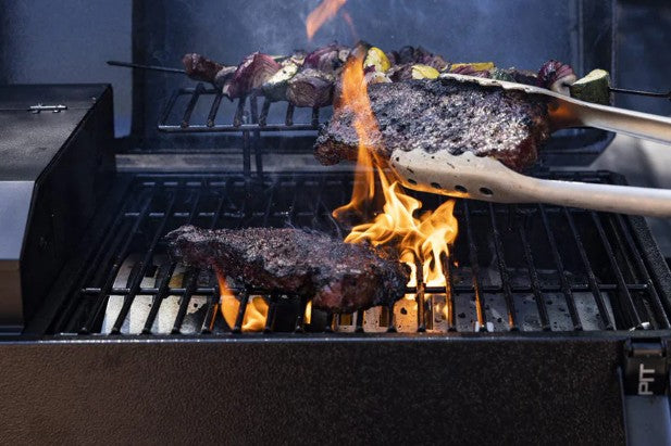 Pit Boss Portable Battery Powered Wood Pellet Grill